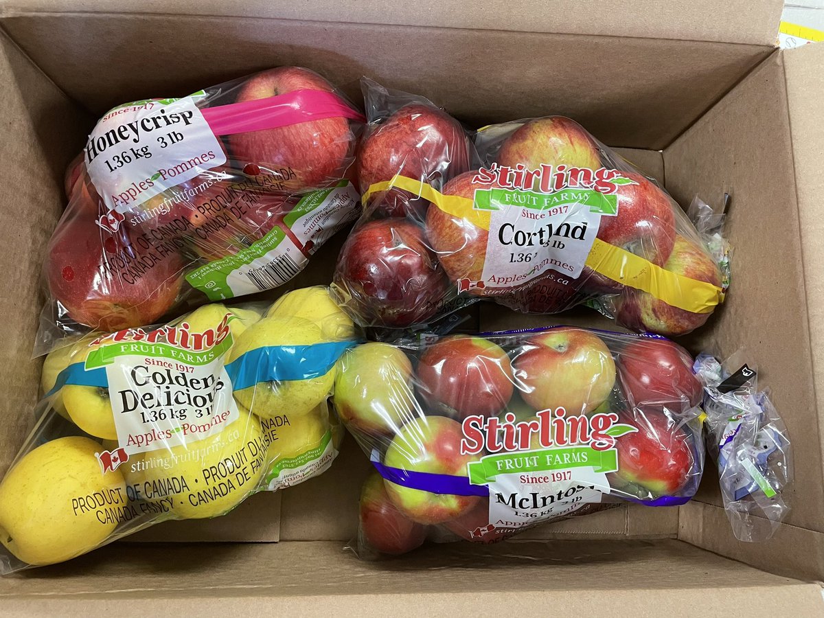 Primary Ng tweet media