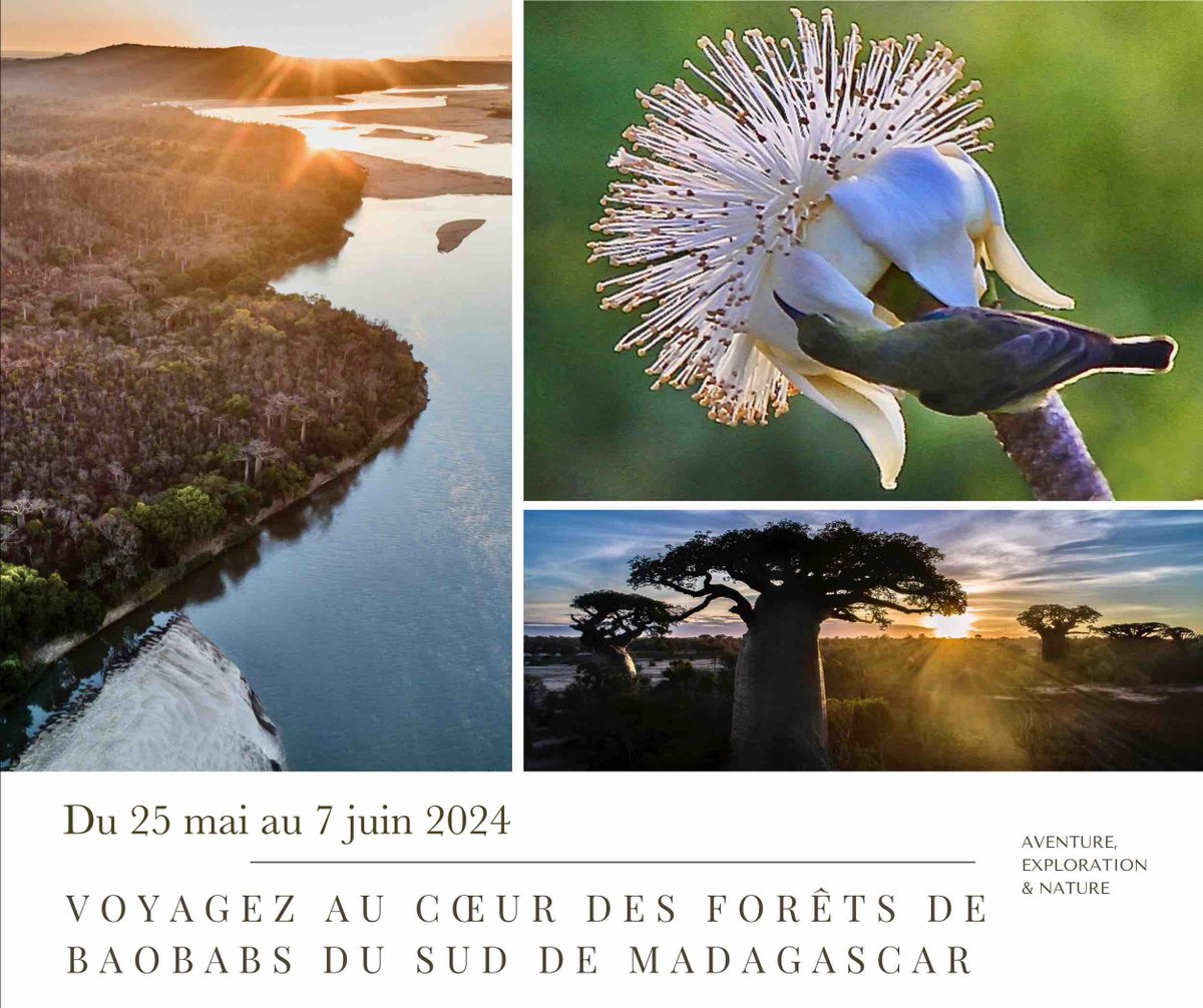 Cyrille Cornu tweet media