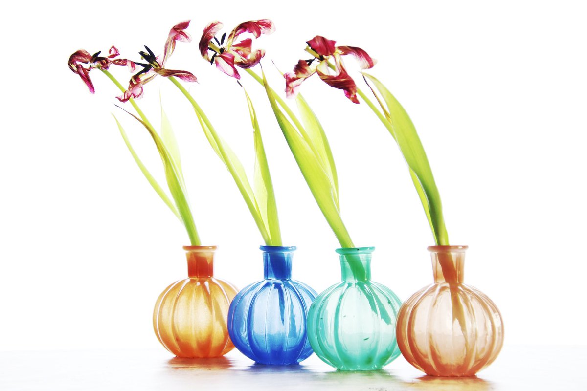 sasha blythe tweet media