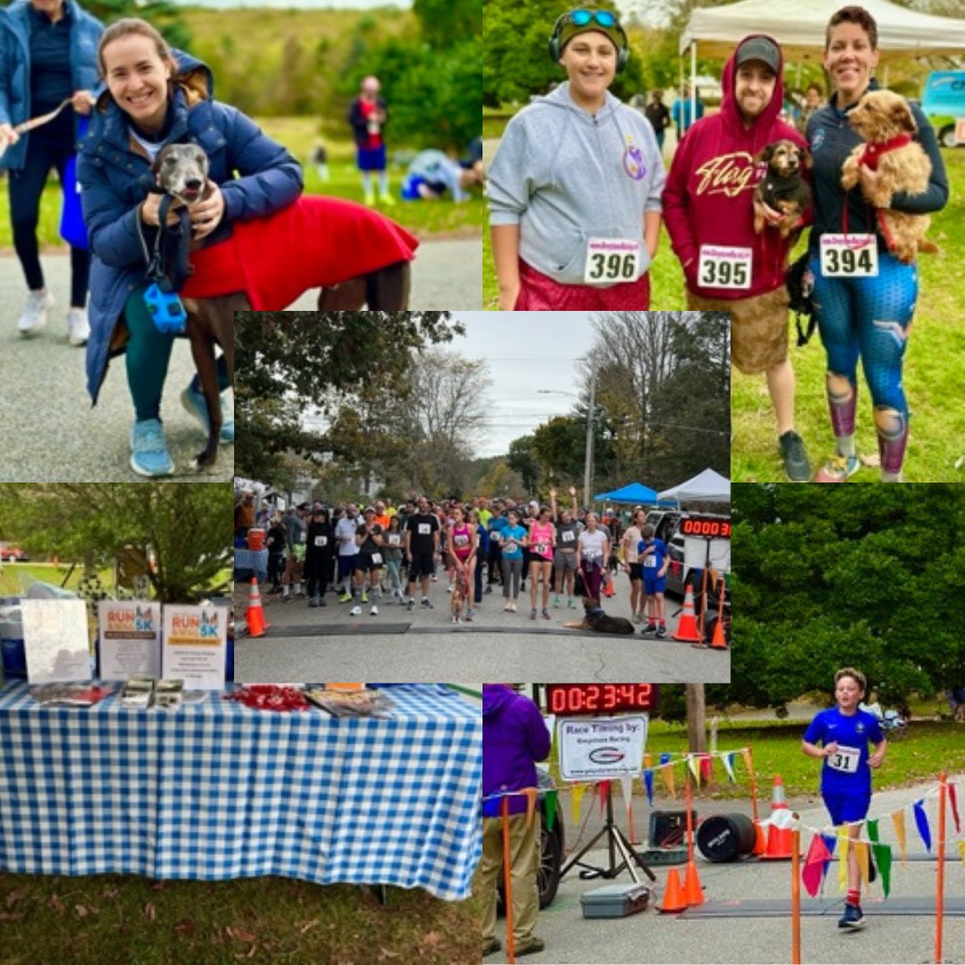 NBSCornwall's tweet photo. What a fantastic day! The 10th Annual Little Guild Run &amp; Wag 5K was a roaring success – thanks to the support of Northeast Building Supply! 

#northeastco #northeastarchitectural #jointeamnortheast #home #homedesign #inspiration #design #style #luxuryhome #luxurybuilders https://t.co/vwz92iBlIm