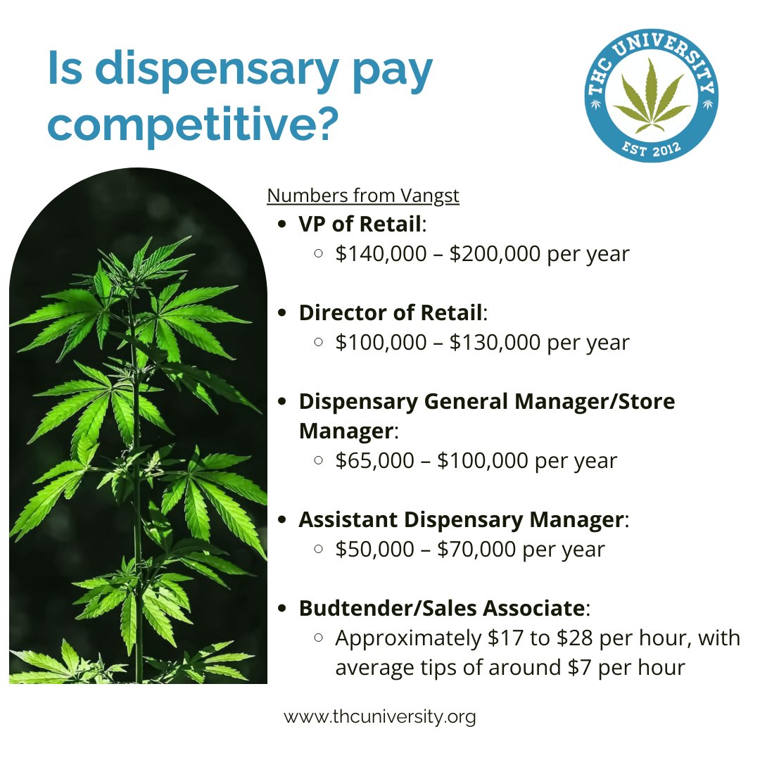 THC University tweet media