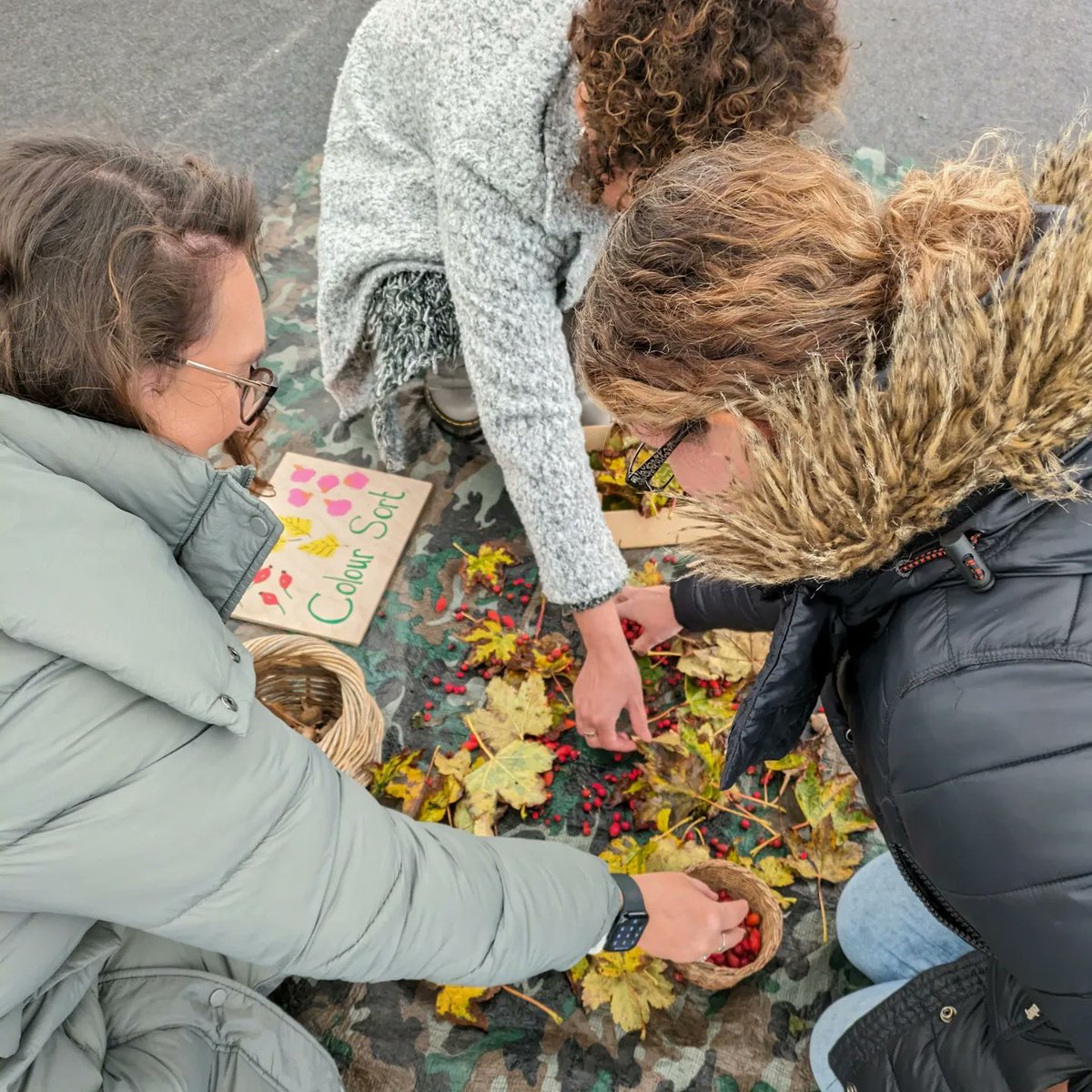 Emily Whiteley tweet media