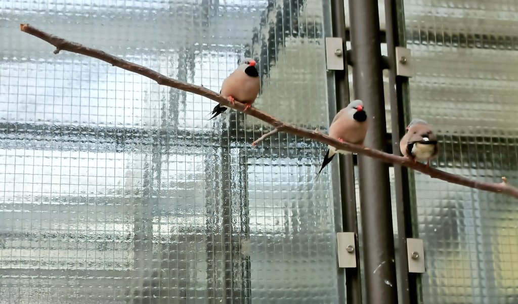 Leaving Bielefeld for the 3rd time in a year 😳
I had a great time at #gradbehav23, met some super cool people and learnt a lot. Hope to see everyone again soon 😊

Looking forward to my next visit too. I'm collecting quite some memories and friendships associated to this place🥲