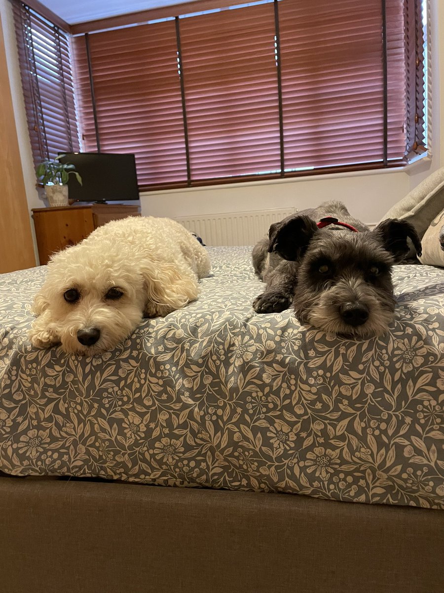 Claudia Money tweet media