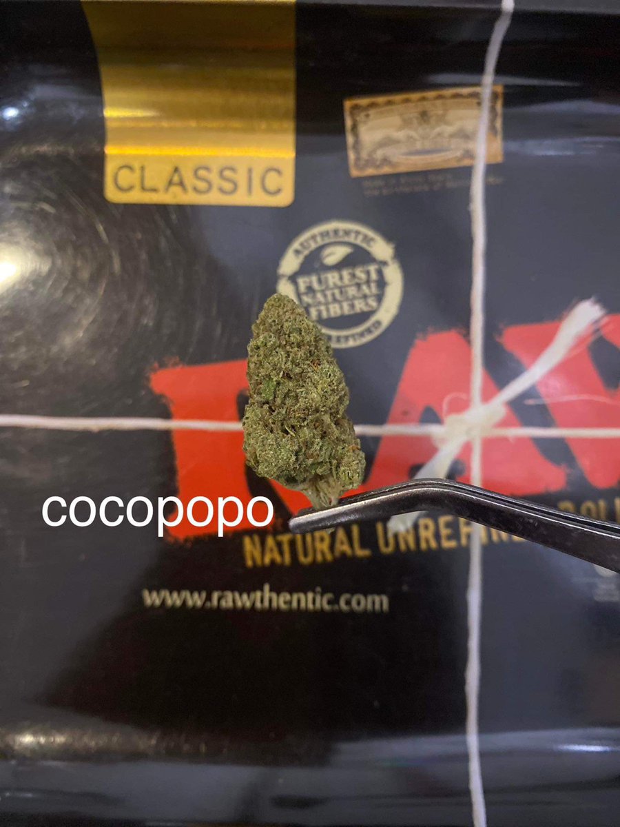 HippiestoreKT's tweet photo. 🔥Cocopopo 140/G📷ฝากไลน์กลุ่มใหม่ด้วยนะครับ ไลน์เก่าใช้ไม่ได้แล้วนะครับ  ดูสินค้าได้ที่โน๊ตในกลุ่มเลยครับ สั่งของแจ้งพ่อค้าในกลุ่มได้เลยครับ 📷 https://t.co/oJUclYDimY #กัญชาog #กัญชาราคาถูก #กัญชาโคราช #กัญชาออแกนิค #กัญชาเชียงใหม่ #กัญชากทม #กัญชาบางแสน #กัญชารังสิต https://t.co/3foUs6n33Z