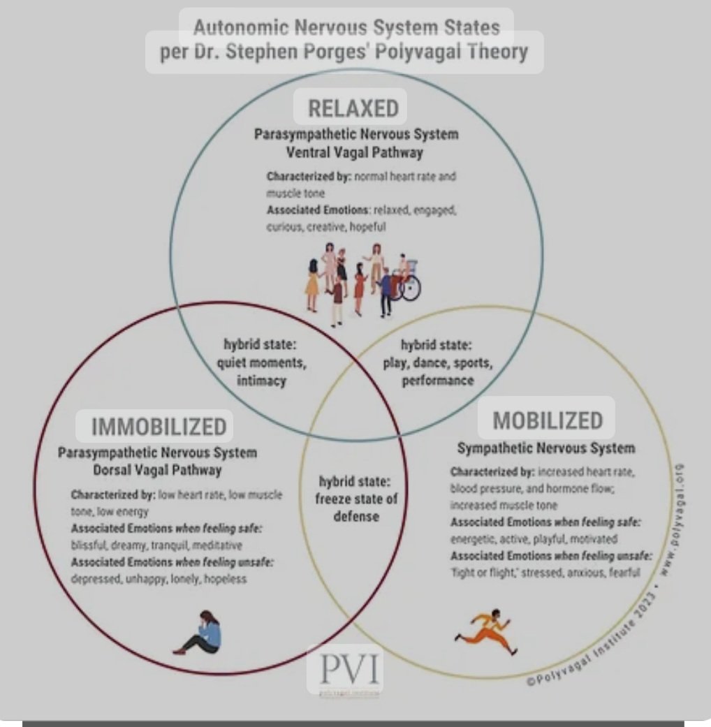 If in doubt...move.Lots of work understanding polyvagal theory and exercise as part of our PE policy. #polyvagaltheory #PhysEd