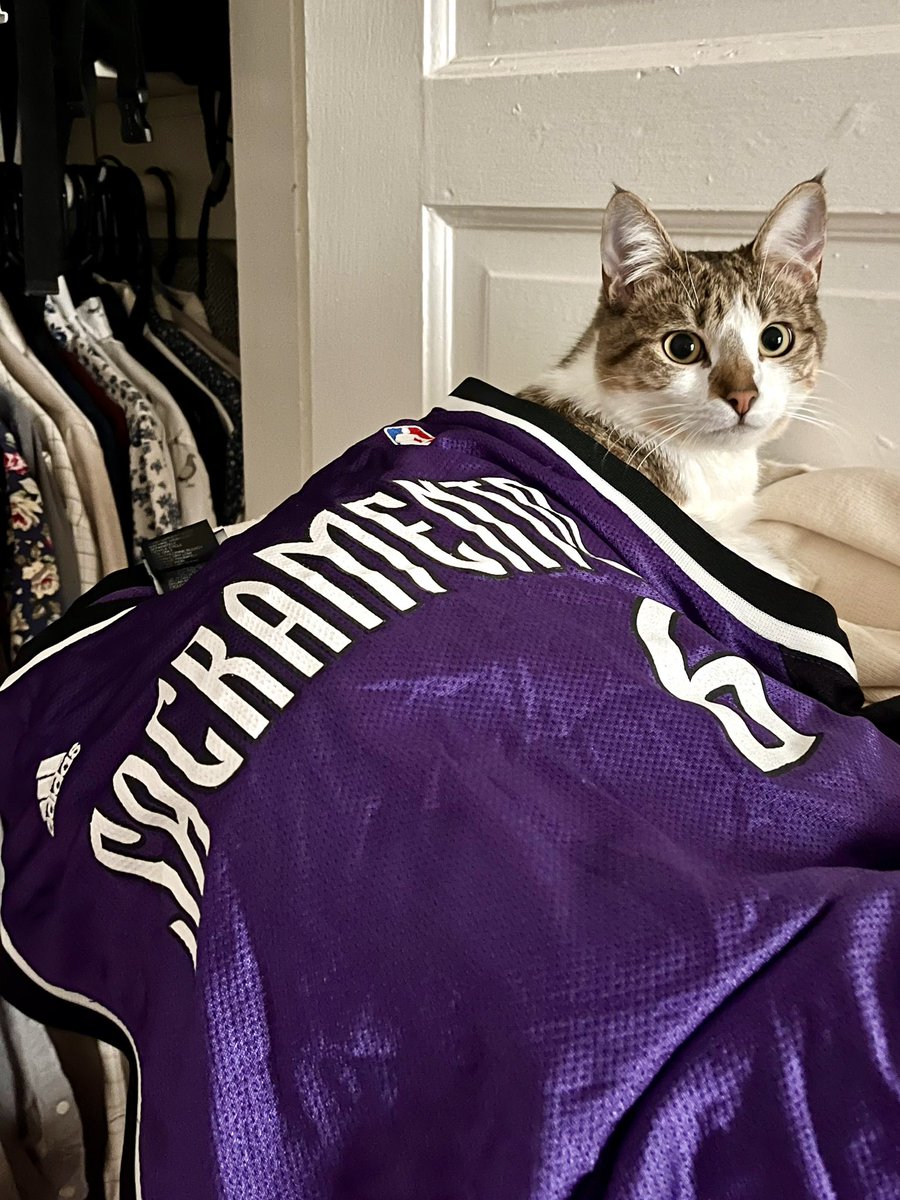 EliWeiss1's tweet photo. @SacramentoKings Don’t forget the cats! https://t.co/tKPEH4EdwO