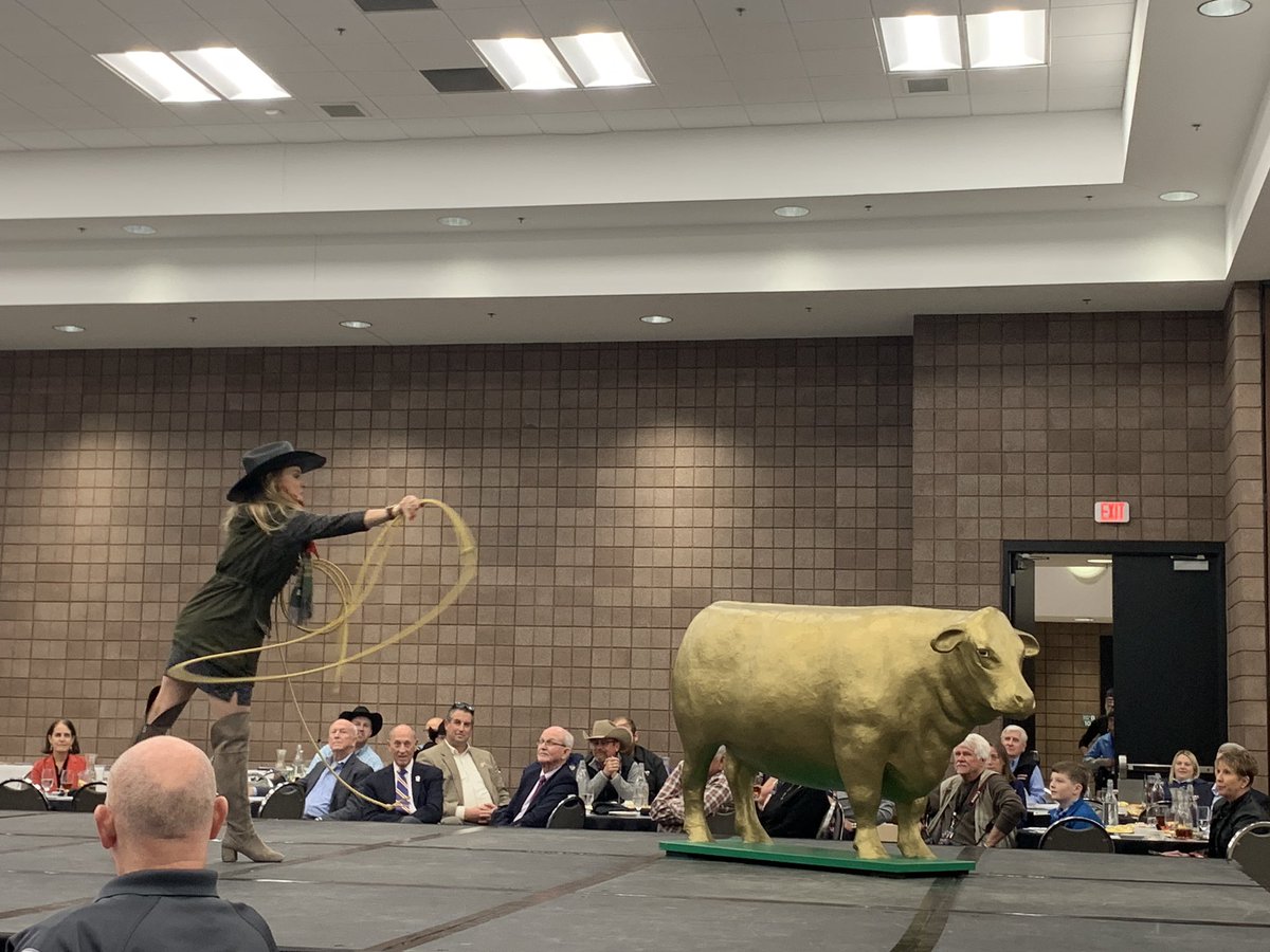 BLacefield's tweet photo. Always a fun time at the Farm City Luncheon.....congrats to friends Steve Kelly &amp; Boone's Butcher for awards (Ag Leadership &amp; Ag Business) &amp; the Farm &amp; City Wing Tip Rodeo teams......great shot of @FBIT_SafetyDale 

Bridging the divide between the urban and rural world! https://t.co/ECIoPBvEi7