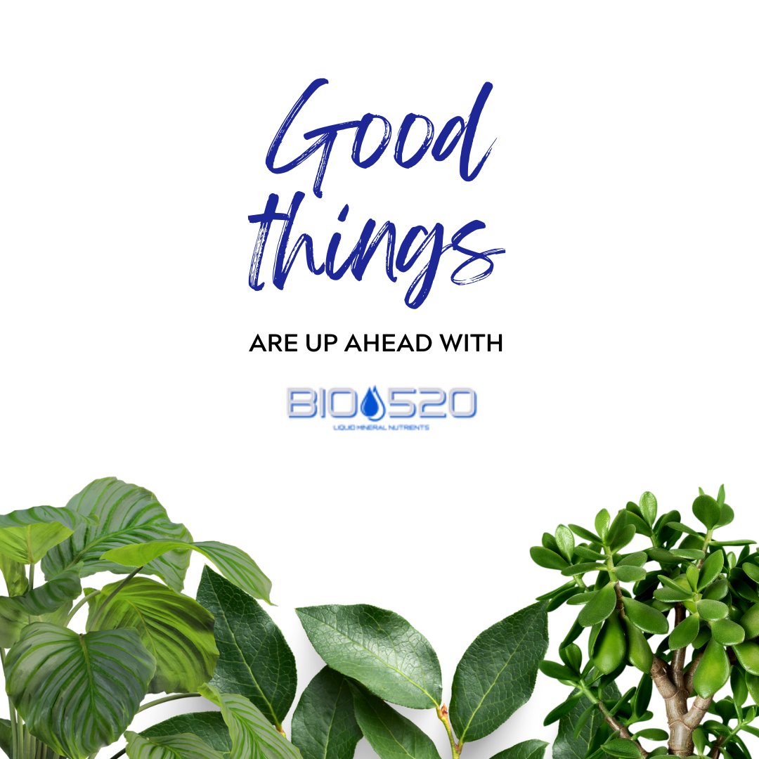 Meet #BIO520, where every leaf tells a story and growth is a journey! 🌿✨

 bio520usa.com

#JoinTheJourney #liquidmineralnutrients #nutrients #plantnutrients #BeforeandAfter #BIO520 #Nutrientsforplants #plantnutrientstt