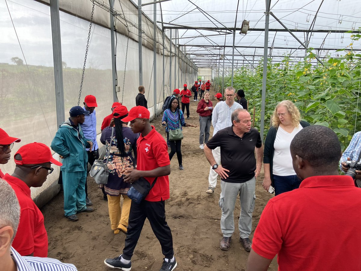 AmbSuisseRDC's tweet photo. Merci à l’équipe de l’Ambassade de #Suisse 🇨🇭 à #Kinshasa 🇨🇩 de la belle sortie de ce jour chez #DAIPN et dans la vallée de la N’Sele. https://t.co/HPDXsZUE1f