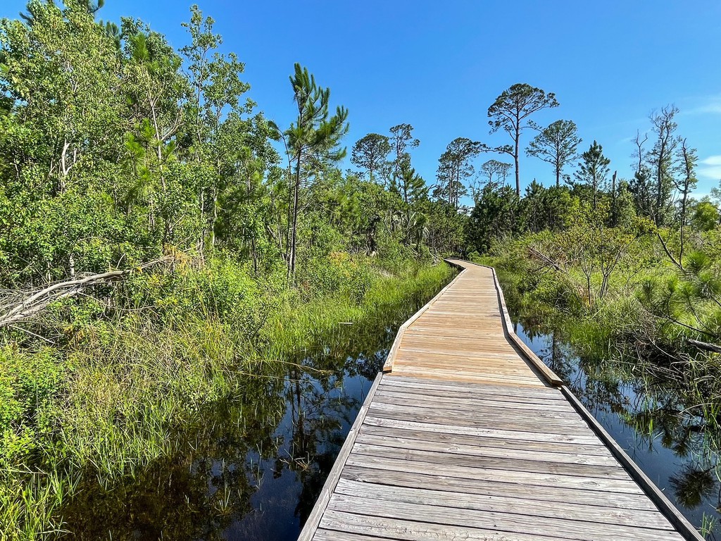 Ready to go on a nature walk to see birds, turtles, and alligators? Read more 👉 bit.ly/3C4x01m #DauphinIsland #Alabama #GulfCoast #travel #islands