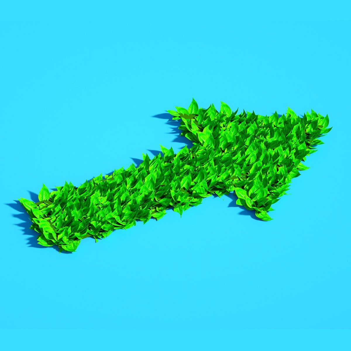 Lee_Chin_Inst's tweet image. Decarbonize and create value: How incumbents can tackle the steep challenge buff.ly/471319k While the task is not easy, incumbents—including those in hard-to-abate sectors—can decarbonize and generate value through a series of key actions.