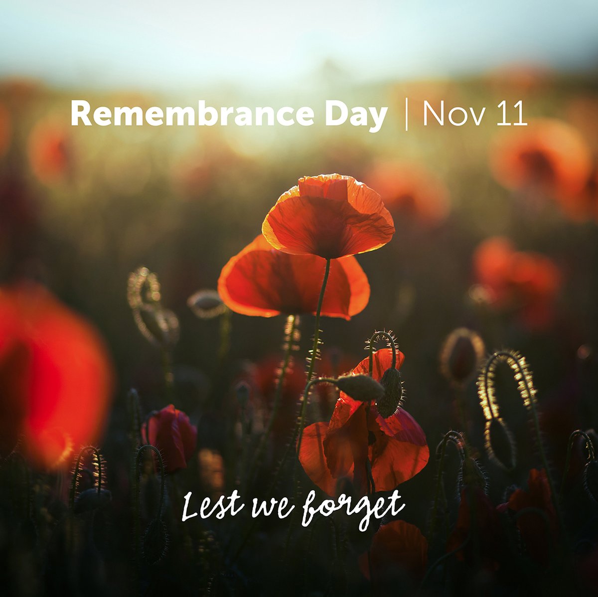 To honour those who have served our country and those who still do, all GBS TELUS stores are closed today, Saturday, November 11.