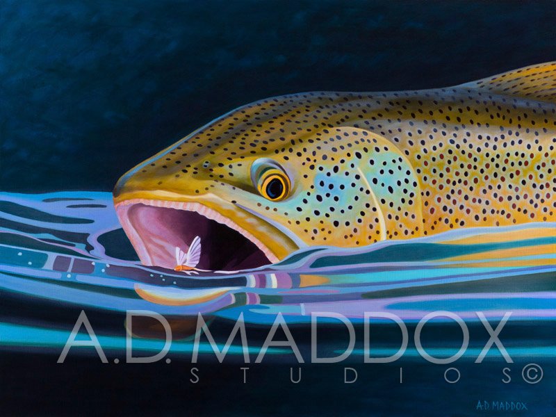 ADMaddoxArt's tweet photo. Art of the day 🐟
Brown Snack. 30x40 oil on Belgian linen. Limited edition giclee prints available https://t.co/4U0QTdxcgv
#earlyworks #admaddoxart #admaddoxstudios #oilpainting #troutart https://t.co/JTN8bSnW1e