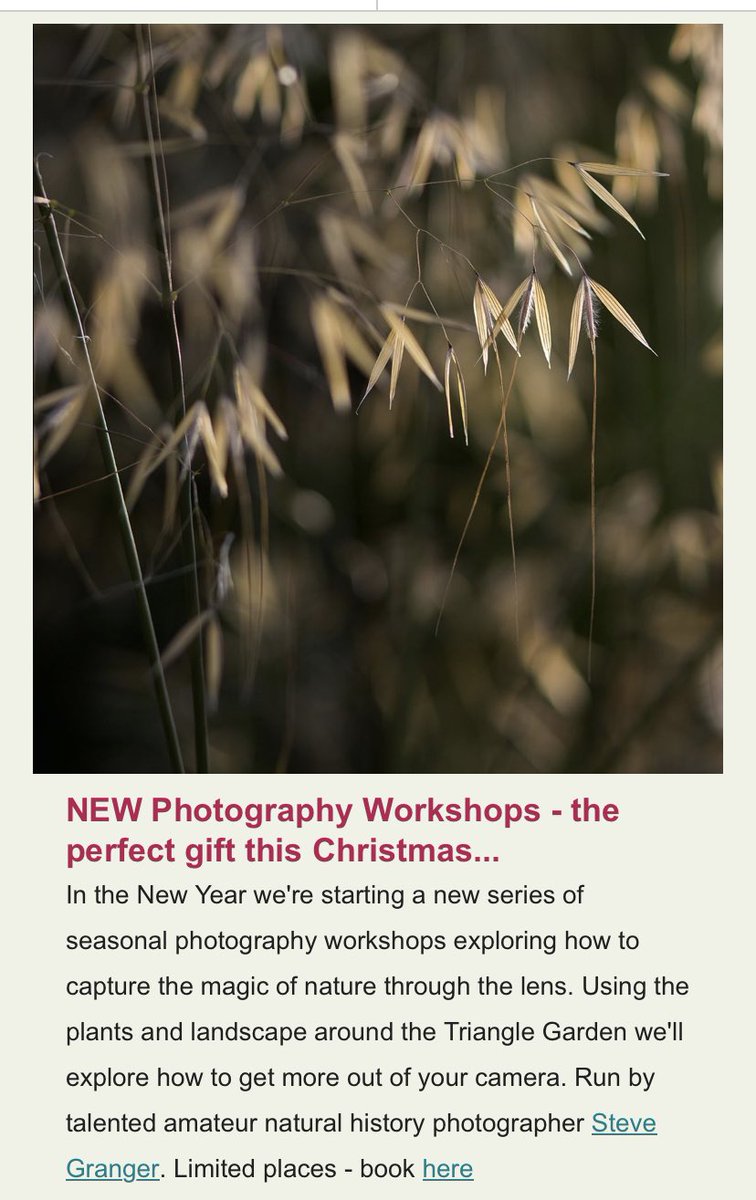 triangle_garden's tweet photo. Woohoo! Our latest newsletter is out! Read snippets here or take a deeper dive via the link below - enjoy!
You can also go straight to the events page of our website to book any of our autumn activities - including this Sunday’s Garden Club which is free to attend! 1/2 https://t.co/mnEE4Gtfge
