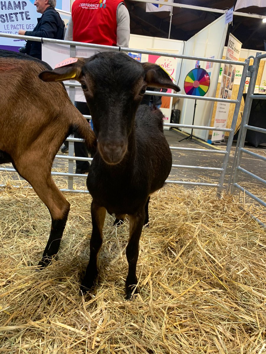 Benoît Tirant (@benoittirant) on Twitter photo Inauguration de La Ferme s’invite à Poitiers, avec des éleveurs, des producteurs, les lycées agricoles, les MFR… C’est jusqu’à dimanche soir au Parc des expositions et l’entrée est gratuite. 🐄 🐐 🐑 🐎 🐓 Inauguration de La Ferme s’invite à Poitiers, avec des éleveurs, des producteurs, les lycées agricoles, les MFR… C’est jusqu’à dimanche soir au Parc des expositions et l’entrée est gratuite. 🐄 🐐 🐑 🐎 🐓