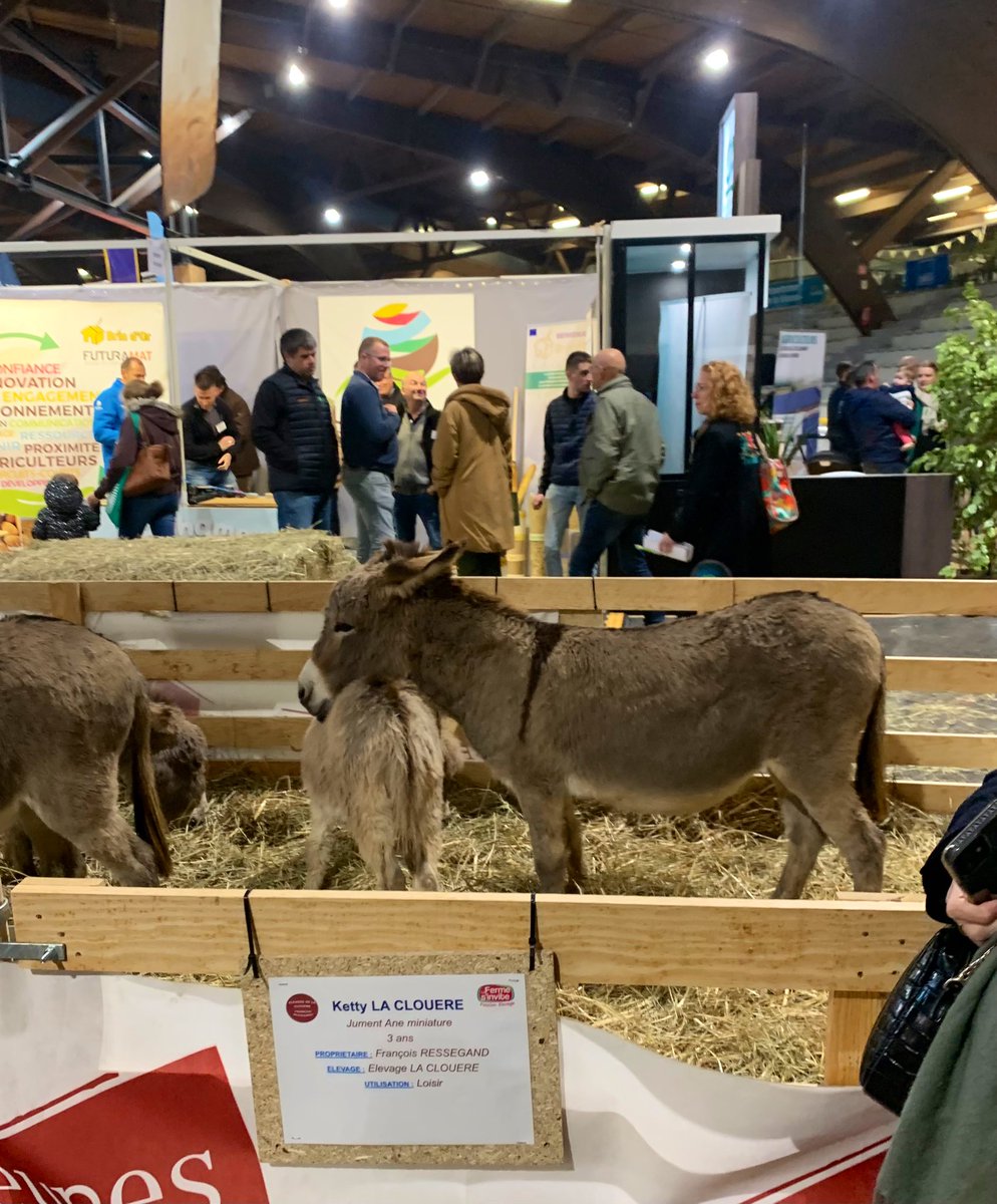 BenoitTirant's tweet photo. Inauguration de La Ferme s’invite à Poitiers, avec des éleveurs, des producteurs, les lycées agricoles, les MFR… C’est jusqu’à dimanche soir au Parc des expositions et l’entrée est gratuite. 🐄 🐐 🐑 🐎 🐓 https://t.co/ozHHxwqaxf