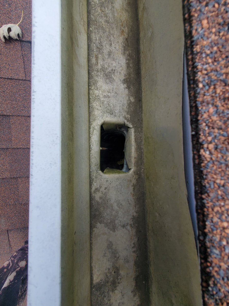 EandSPowerWash's tweet photo. Gutter Cleaning / Clean Out in Plymouth, Michigan #BeforeandAfter #GutterCleaning #GutterCleanOut #GutterCleaningService #GutterService #CleaningGutters #CleaningGutterService #RoofBlowOff #Cleaning #Cleaned #Clean #PowerWash #PowerWashing #ExteriorCleaning https://t.co/wSjYJth4Jz