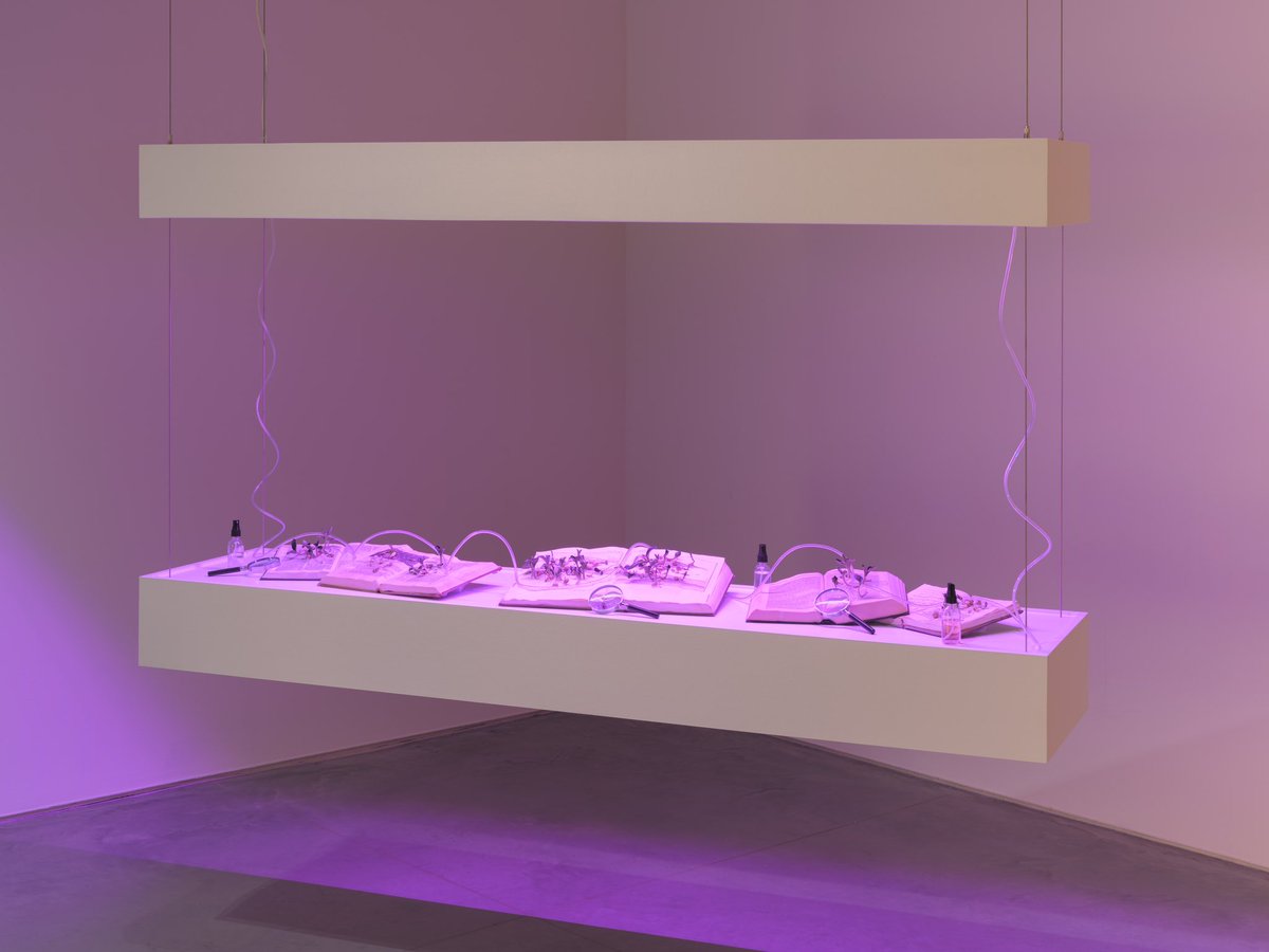 In Aroussiak Gabrielian’s “Botanic Attunement,” the pages of books of Western thought have been seeded with leafy, intertwining plants, attuning the visitor to the complexity of plant life in contrast with Western knowledge systems’ hierarchies. On view until December 9.