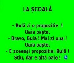 Murmur Mic (@micaela54170881) on Twitter photo 