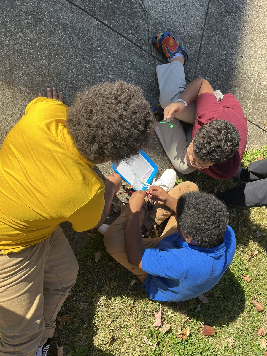 Our #BrilliantByck cougars are investigating what energy is through building solar-powered circuits and reading to build knowledge! ☀️⚡️🤯<a href="/RebeccaHile10/">RebeccaHile</a> #HQCR #KnowledgeMatters #AISuccess