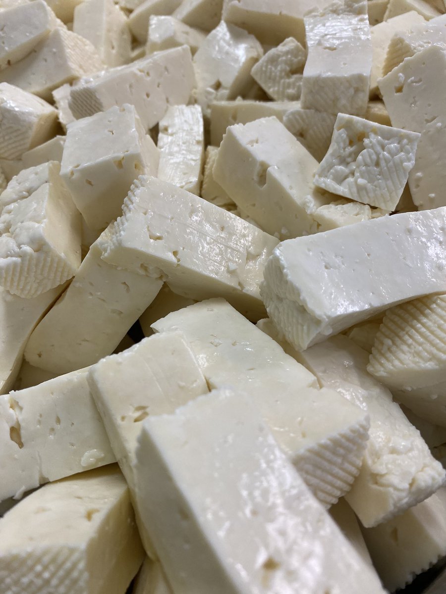 Flathead Lake Cheese tweet media