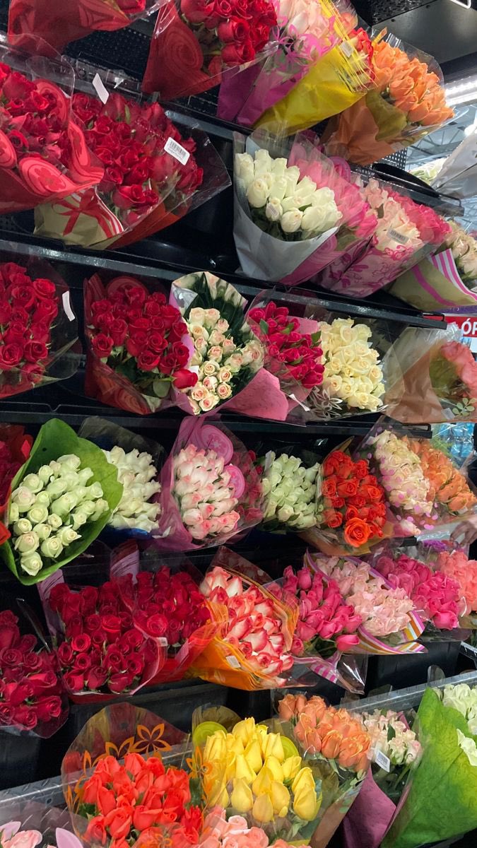 miyavdesenn's tweet photo. Çok güzel değiller mi https://t.co/1YV7NX8c07