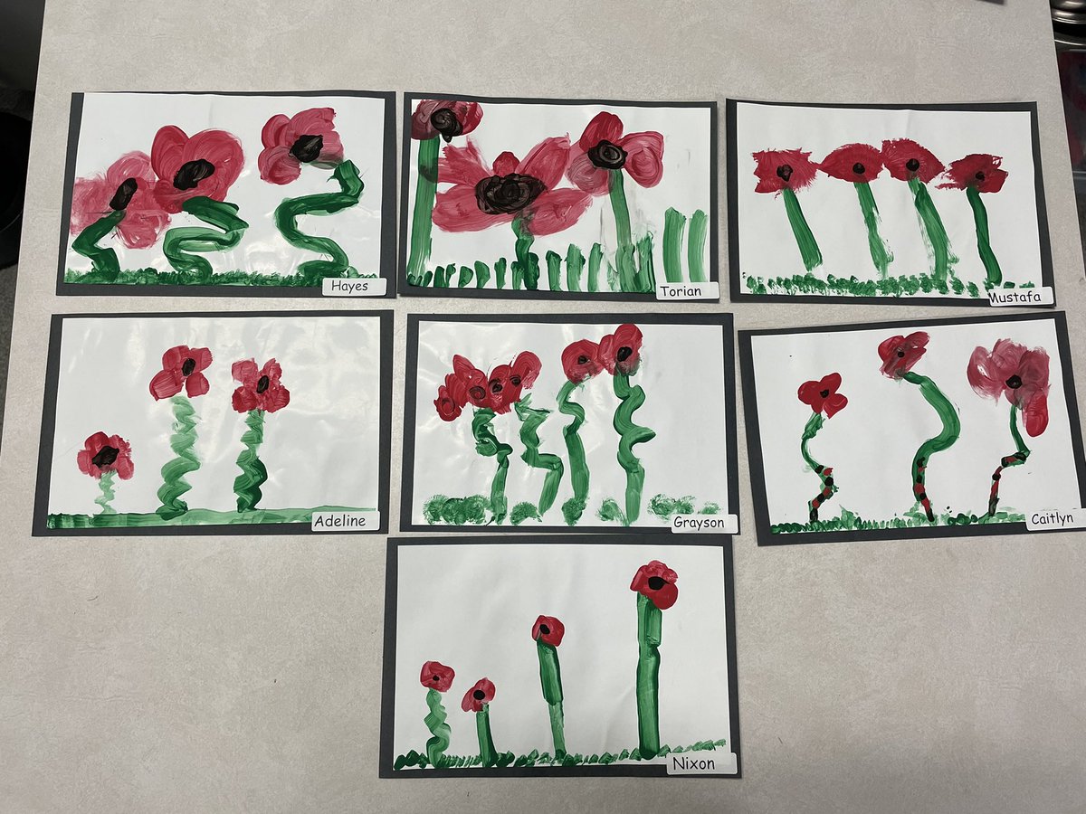 Primary Ng tweet media