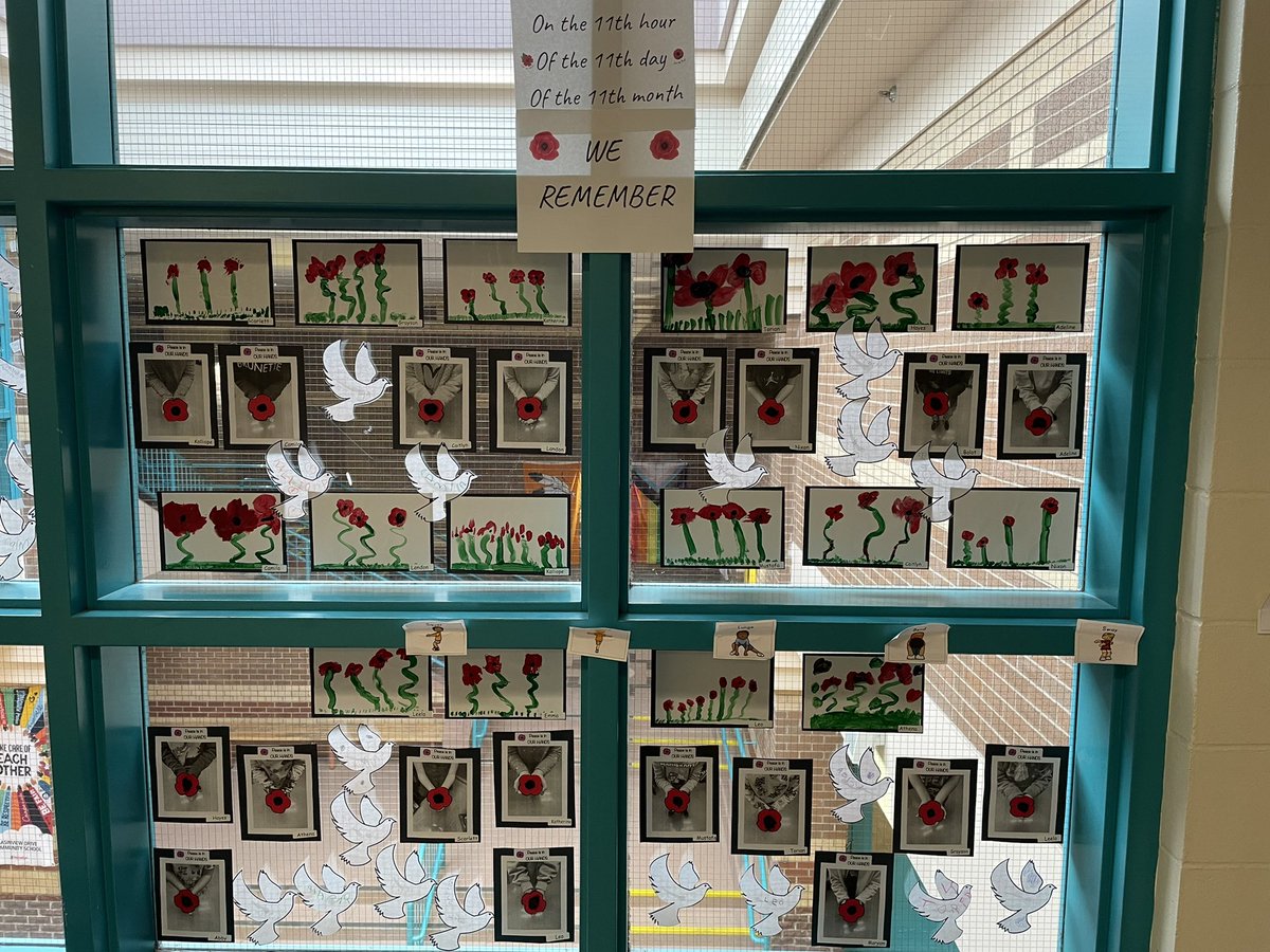 Primary Ng tweet media