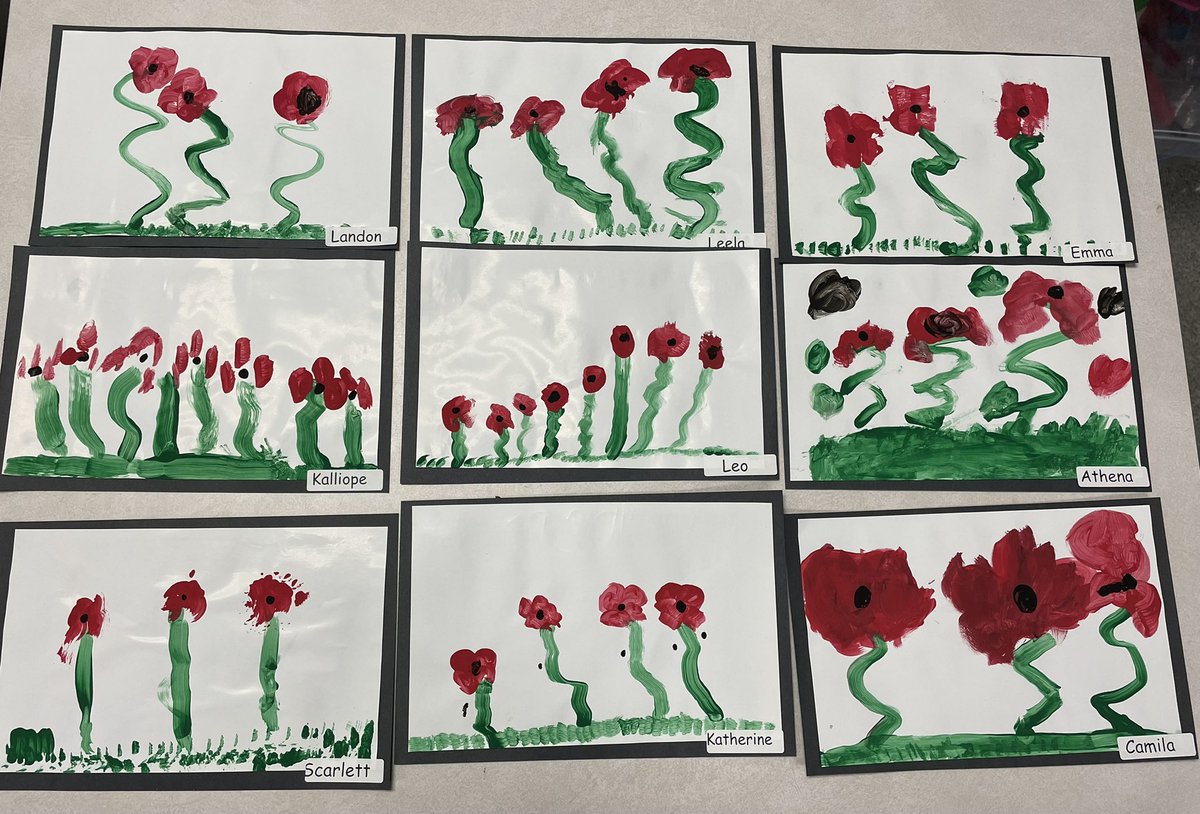 Primary Ng tweet media