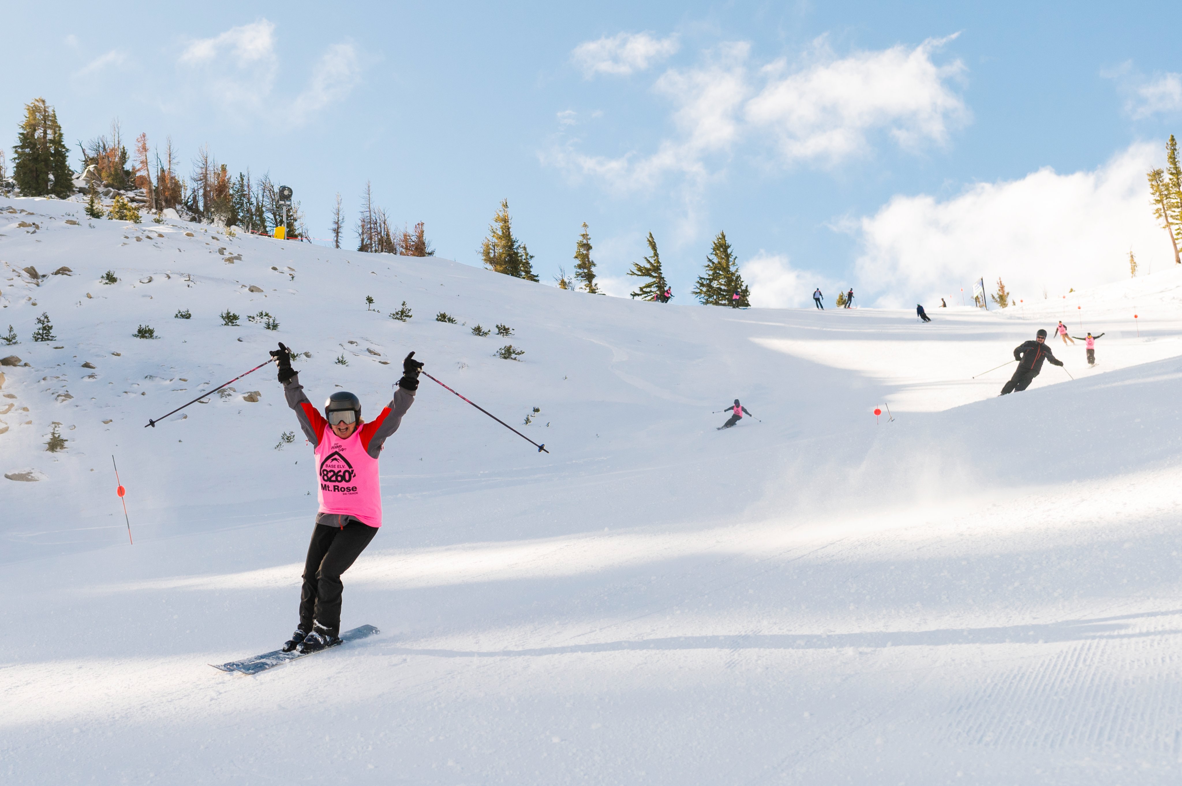 Skirose sale