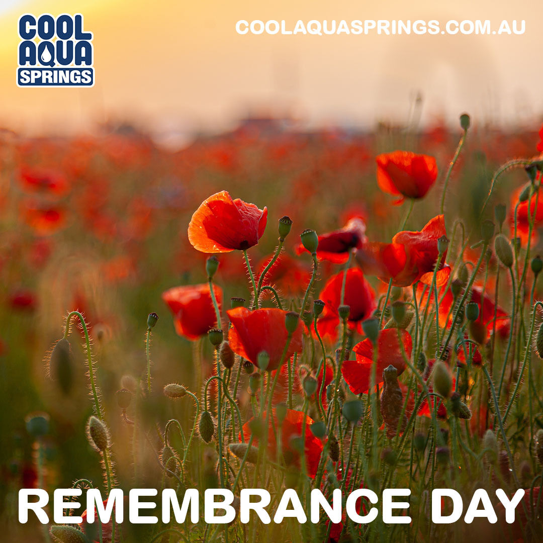 coolaquasprings's tweet image. Today, Remembrance Day, we honour their sacrifice. Lest we forget.

coolaquasprings.com.au
#RemembranceDay #BottledSpringWater #CoolAquaSprings
