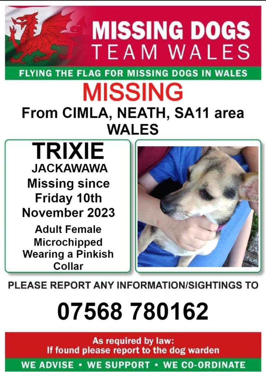 juliagarland73's tweet photo. #Missingdog #Missing from #Cimla #Neath #SA11 area #Wales 🏴🏴🏴 #TeamWales 🏴🏴🏴🏴🏴 https://t.co/ASY4Q3rrXR https://t.co/aESZEifRHP