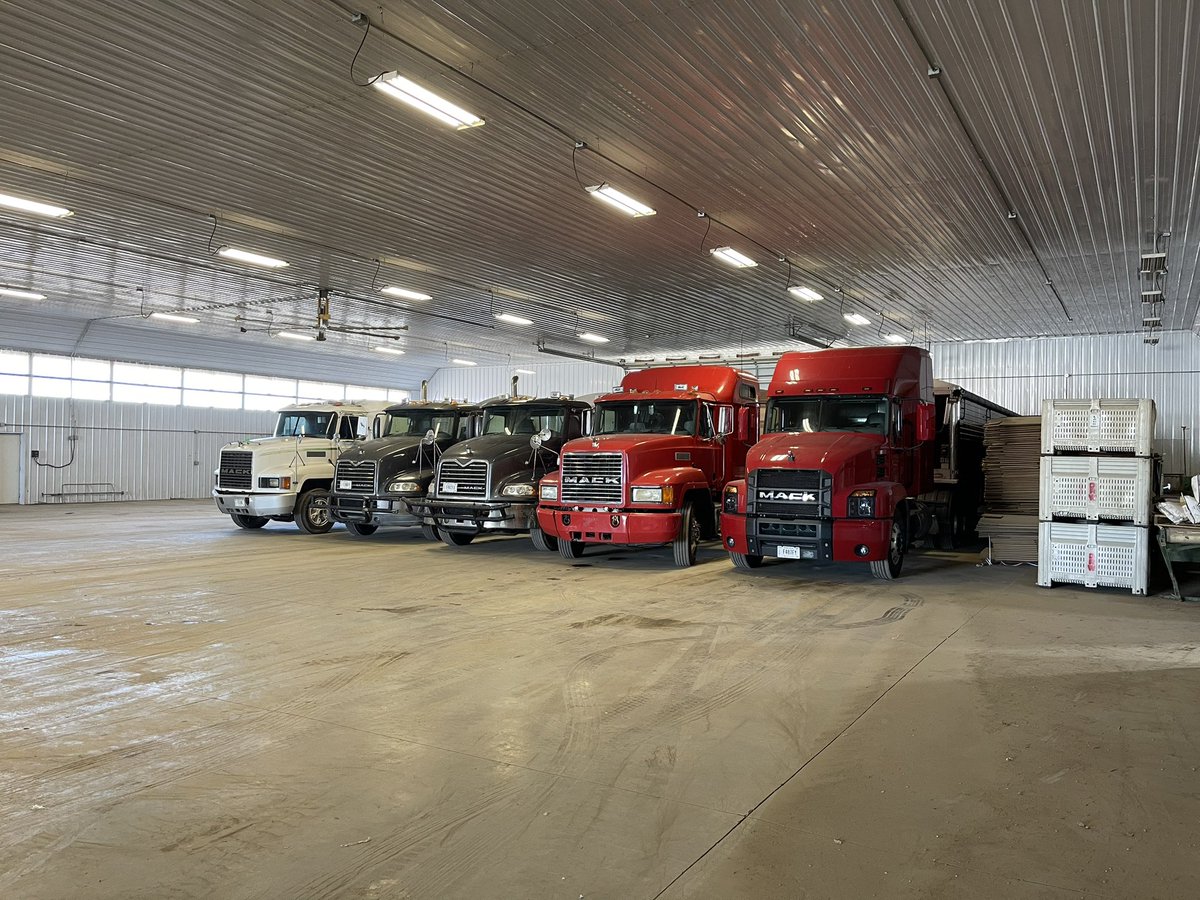bigtimefarming's tweet image. Got Macks? How about a line up of one stack Macks. @MackTrucks makes a darn good farm truck. 
#farmtruck #Mack #hopperbottom 
#onestackMack