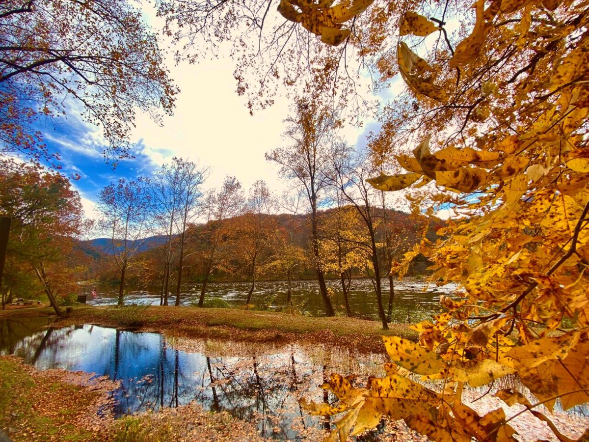 It's Fall and the weather is chilly, but it's the most beautiful time of year in these mountains! Our friends at <a href="/northeasttenn/">Northeast Tennessee</a> curate all the ways to meet them in Tennessee. Visit the site, listen to the podcast &amp; enjoy this season to the fullest 😍