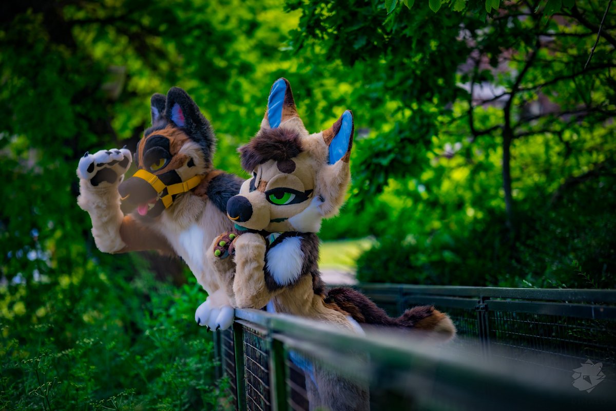 πβπΈπ π¦ (@fenneclicious) on Twitter photo Spending my #fursuitfriday looking for cuties like you with <a href="/HakneeShep/">H a k n e e D a w g</a> β¨β¨β¨
πΈ: <a href="/DinaloFoxxo/">Dinaloβ£οΈπ¦ π Megaplex</a> Spending my #fursuitfriday looking for cuties like you with <a href="/HakneeShep/">H a k n e e D a w g</a> β¨β¨β¨
πΈ: <a href="/DinaloFoxxo/">Dinaloβ£οΈπ¦ π Megaplex</a>