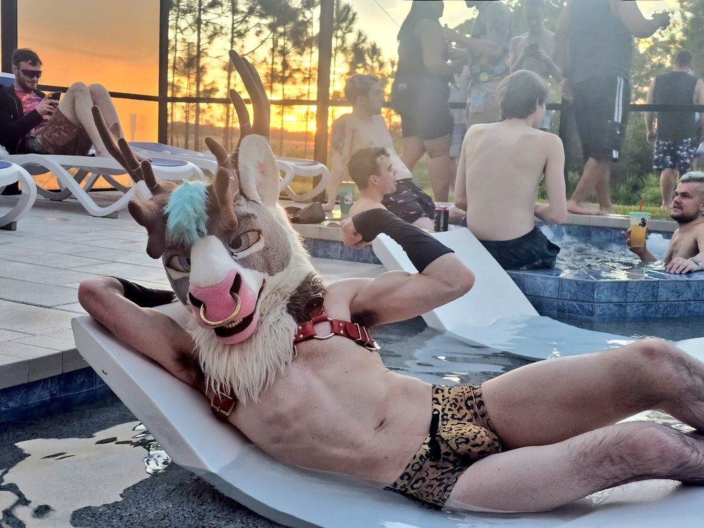 R0rek's tweet photo. Super chill poolside vibes this #FursuitFriday ๐ฆ๐๐
๐ธ: @FizzDurr #Divication https://t.co/z7yrei6Vtr