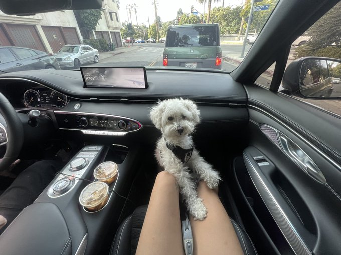 Sesame street with my Young lol https://t.co/R1E7NlkiRw