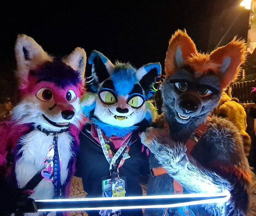 Come with us and fight on our side  🦊🐱🦊⚔