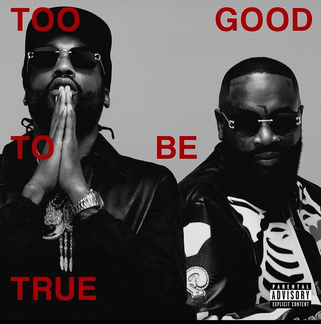 first thoughts on meek mill and rick ross’ new collab album “too good to be true”??
