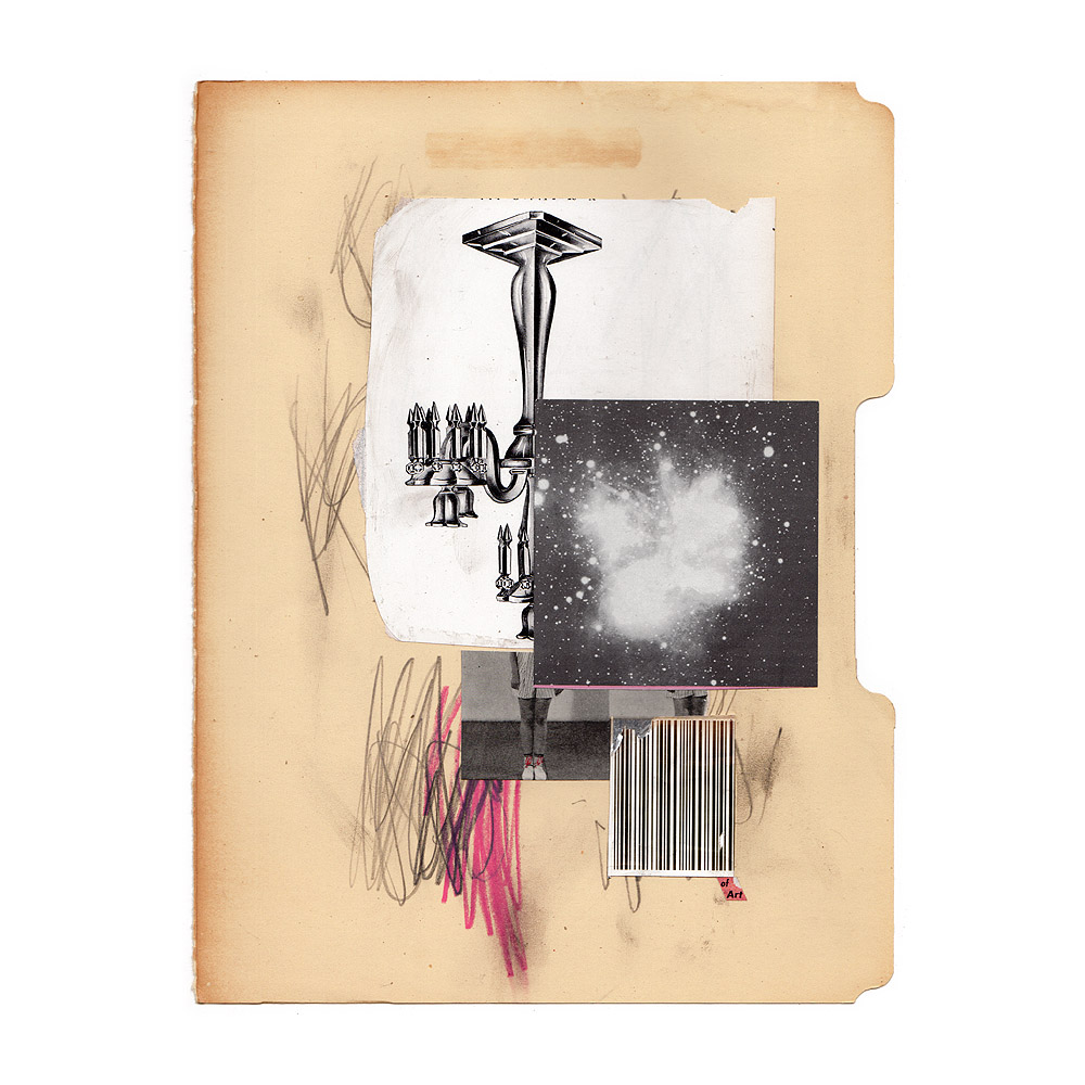 fred free tweet media