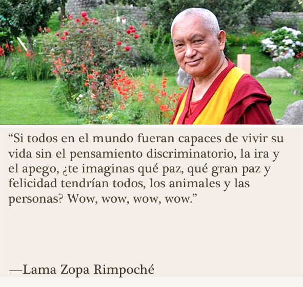 CompasivoSer's tweet photo. Enseñanzas de Lama Zopa Rimpoché

#paz #felicidad #Feliz 
#animales #humanidad https://t.co/h1e9ej5Q4Y