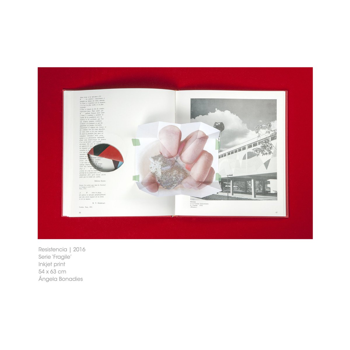 #EnAlmacén

‘Resistencia’ de Angela Bonadies [<a href="/ratulimico/">Angela Bonadies</a>].

Consulta sobre la trayectoria y el trabajo de la artista 👉 abracaracas.com/artista/angela…