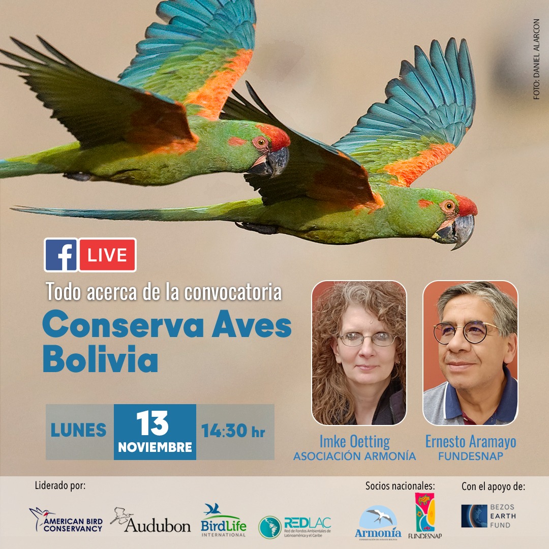 ¡Convocatoria Conserva Aves Bolivia! 🐦🌿 Descubre todo sobre los  ejes estratégicos, consideraciones clave y áreas prioritarias en el Facebook Live que se realizará este lunes 13 de noviembre a las 14:30. Para más información, consulta los TDRs aquí: fundesnap.org/convocatoria-a…