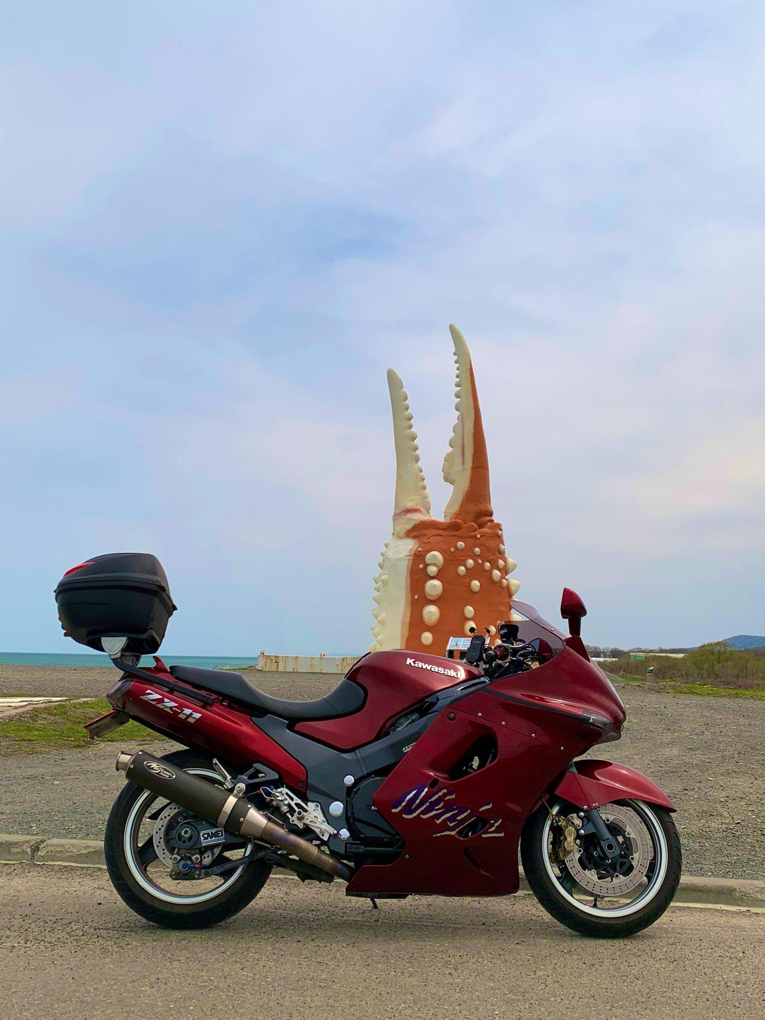 11/1 専用ʚ♥⃛ɞ (͒⑅′࿉‵⑅)͒ෆ* カワサキ（KAWASAKI） ニンジャZX-11 | Ninja ZX-11の型式