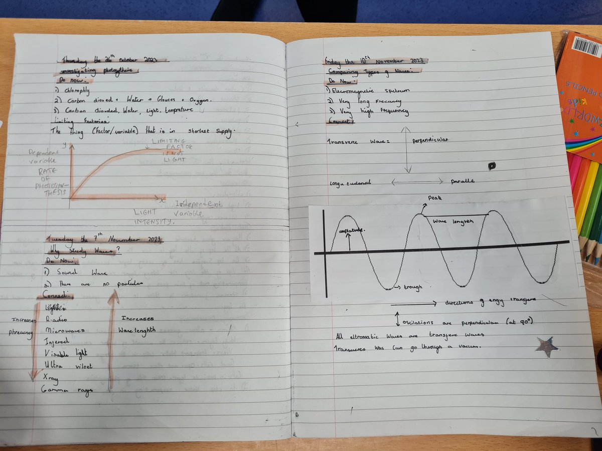Sammy Mercer tweet media