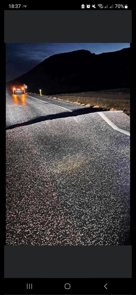 Road outside Grindavik tonight. Got out of Dodge just in time!