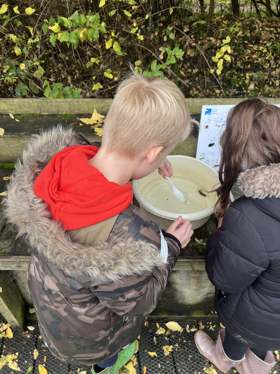 MissMerridan tweet media