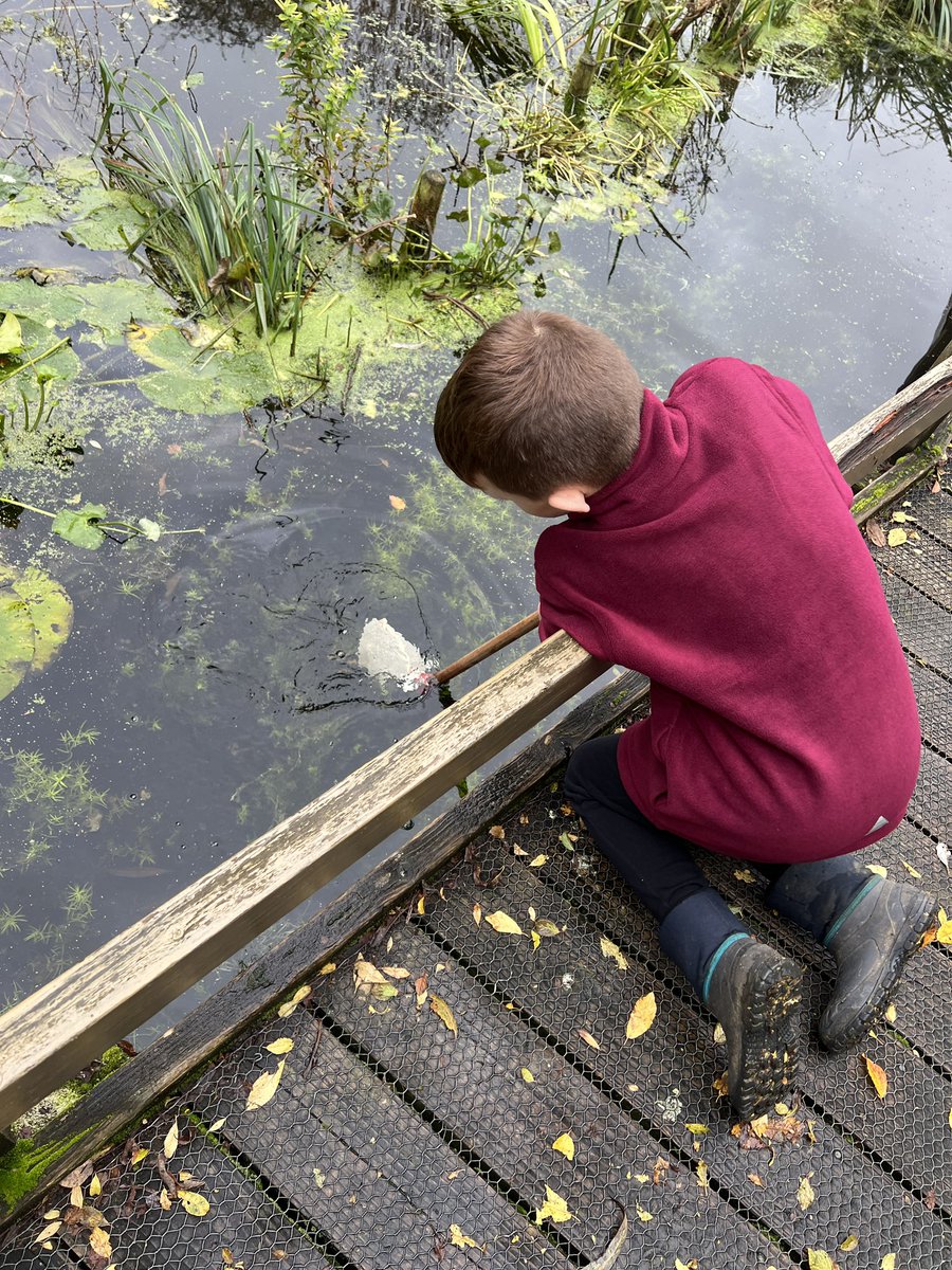 MissMerridan tweet media