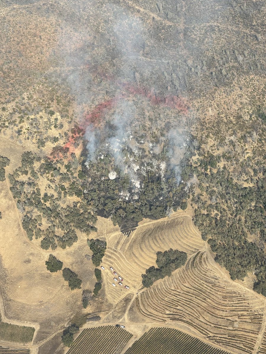 CALFIRELNU's tweet photo. #DollarFire - UPDATE - The fire is approximately 4 acres and the forward progress has been stopped. Firefighters will be in the area for the next few hours working on containment and putting out hot spots. 
#CALFIRE
#CALFIRELNU https://t.co/cjT7BCusdI